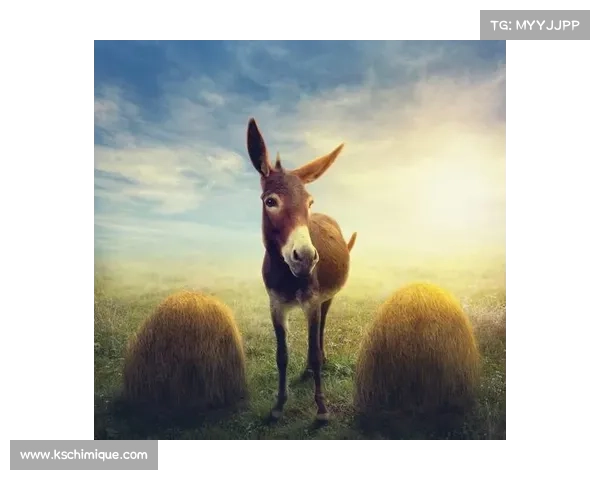 《追寻失落的传奇之兽探秘古老神秘生物的探索之旅》 《追寻失落的传奇之兽探秘古老神秘生物的探索之旅》