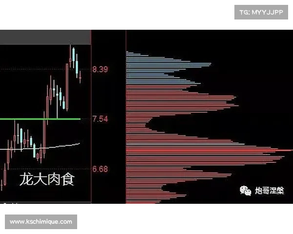 提升暗流之主战斗力的七大策略解析助你全面强化角色实力