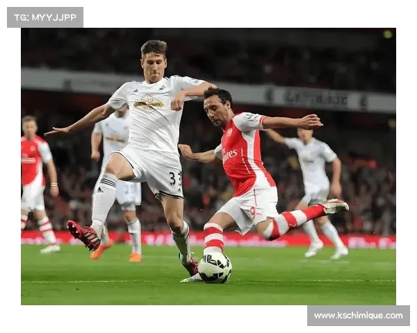 加的夫城足球俱乐部的联赛历史与辉煌成就探究