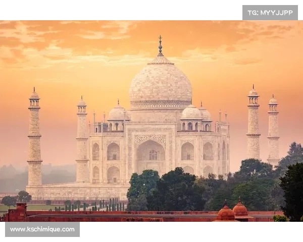 巴舒亚伊语言使用的文化背景与社会影响分析